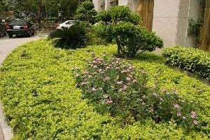 福州私密整形醫院（yuàn）哪家好？推薦排行榜前五，揭秘實力派整（zhěng）形（xíng）醫院